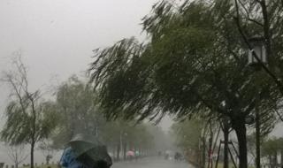 杭州西湖被暴雨隐藏了